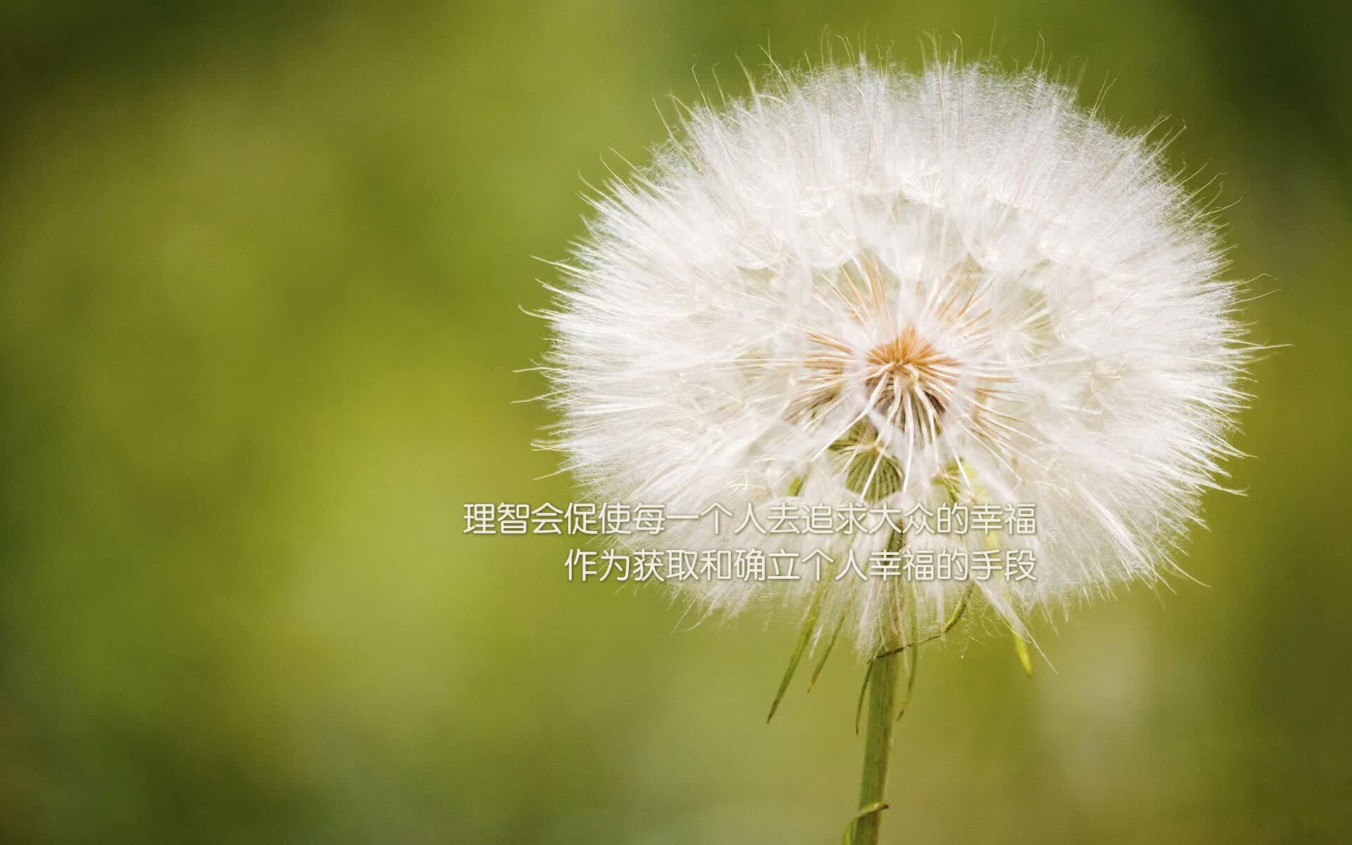 太阳能照明灯买多大瓦数合适家用(太阳能灯功率一般多大)